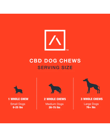 Motive Mini CBD Dog Chews - Cheddar Cheese & Bacon Flavor_CBDee