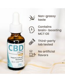 Hempure Recovery CBD Oil Drops 250 mg_CBDee