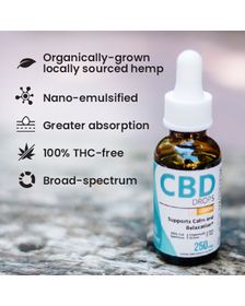 Hempure Recovery CBD Oil Drops 250 mg_CBDee