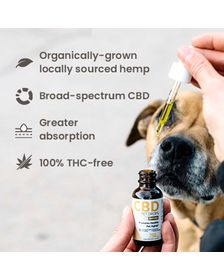 Hempure CBD Pet Drops 250mg_CBDee