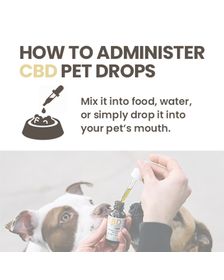 Hempure CBD Pet Drops 250mg_CBDee