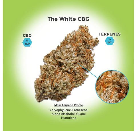 The White CBG Hemp Flower_CBDee