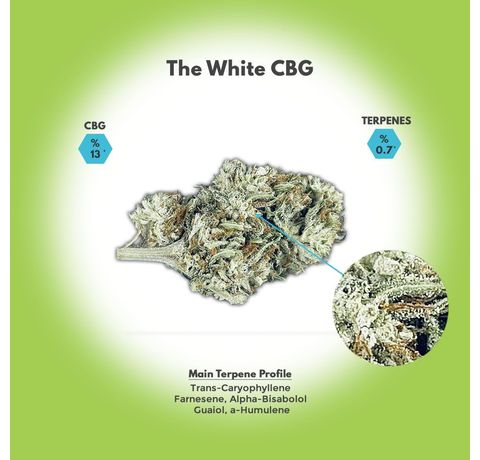 The White CBG Hemp Flower_CBDee