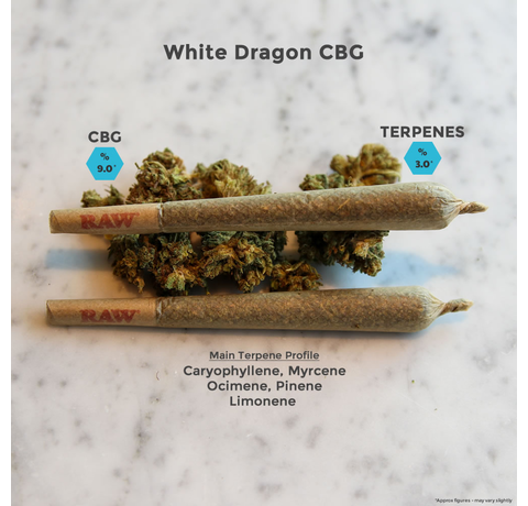 White Dragon CBG Hemp Flower Pre-Rolls_CBDee