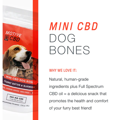 Motive Mini CBD Dog Bones - Peanut Butter and Blueberry_CBDee