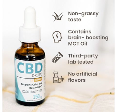 Hempure Recovery CBD Oil Drops 250 mg_CBDee