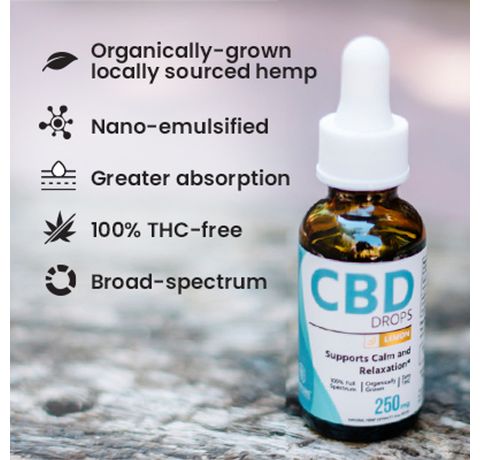 Hempure Recovery CBD Oil Drops 250 mg_CBDee