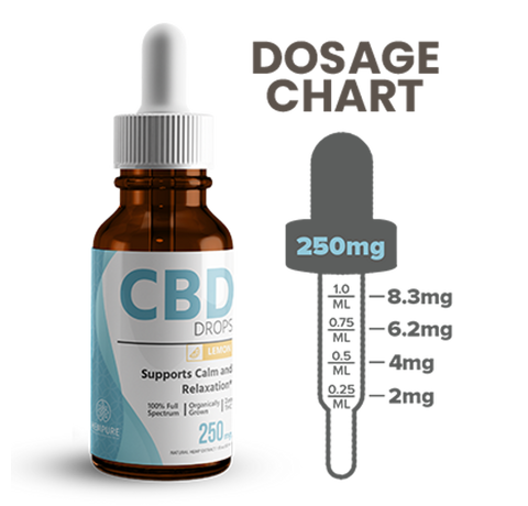 Hempure Recovery CBD Oil Drops 250 mg_CBDee