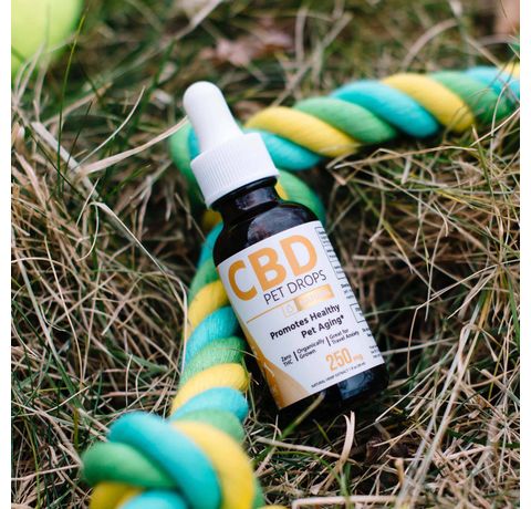 Hempure CBD Pet Drops 250mg_CBDee