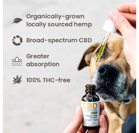 Hempure CBD Pet Drops 250mg_CBDee