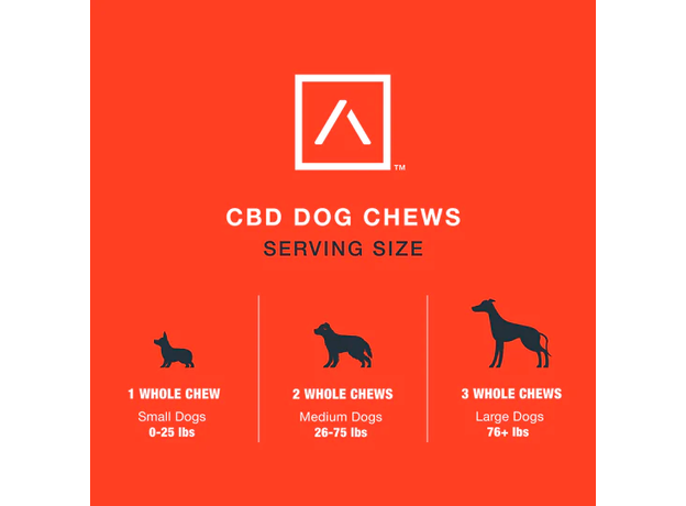 Motive Mini CBD Dog Chews - Cheddar Cheese & Bacon Flavor_CBDee