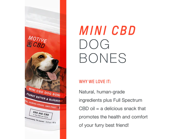 Motive Mini CBD Dog Bones - Peanut Butter and Blueberry_CBDee